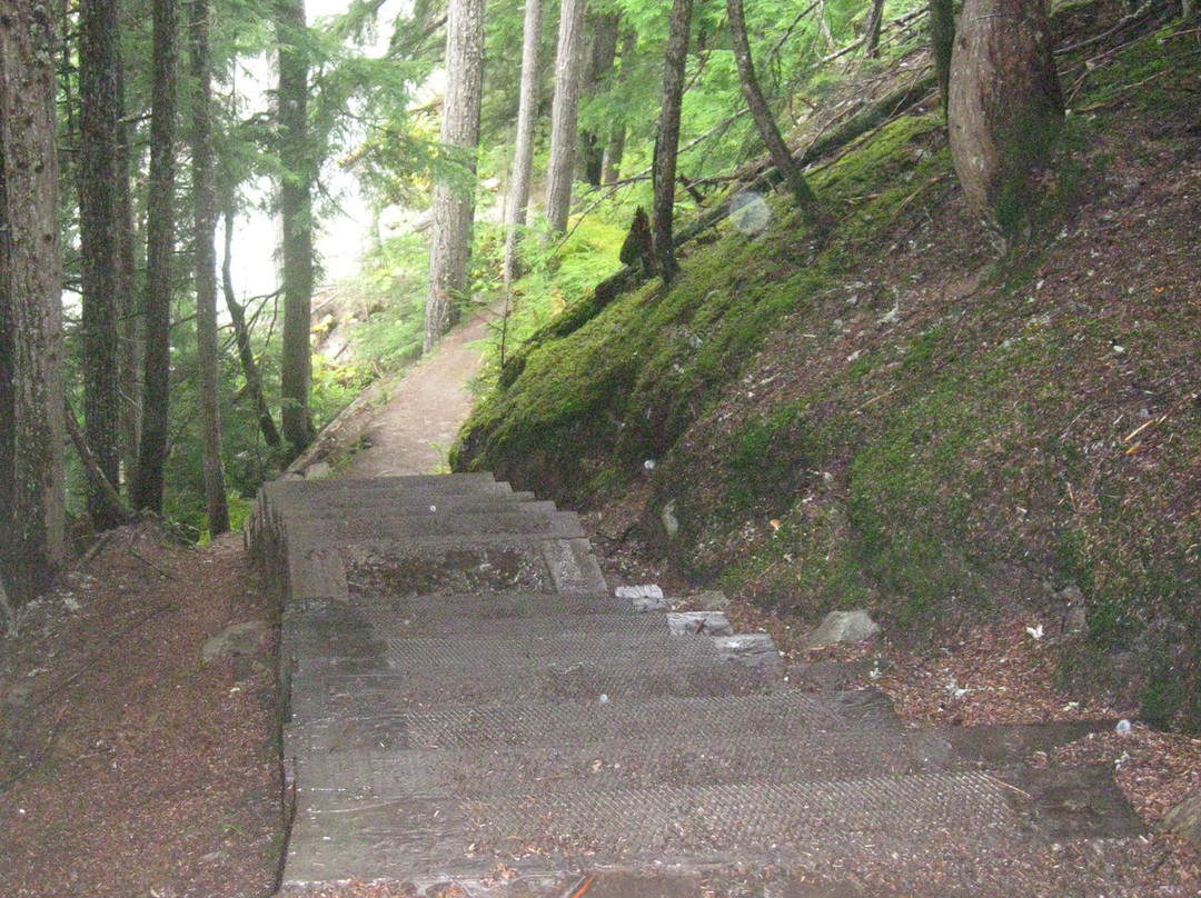 Bear Creek Falls景点图片