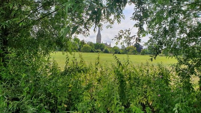 Harnham Water Meadows-索尔兹伯里必去景点