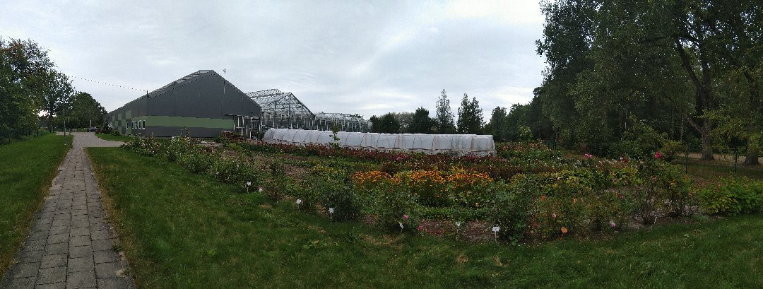 Dendrologic Park of Bulduri Gardening College-尤尔马拉必去景点