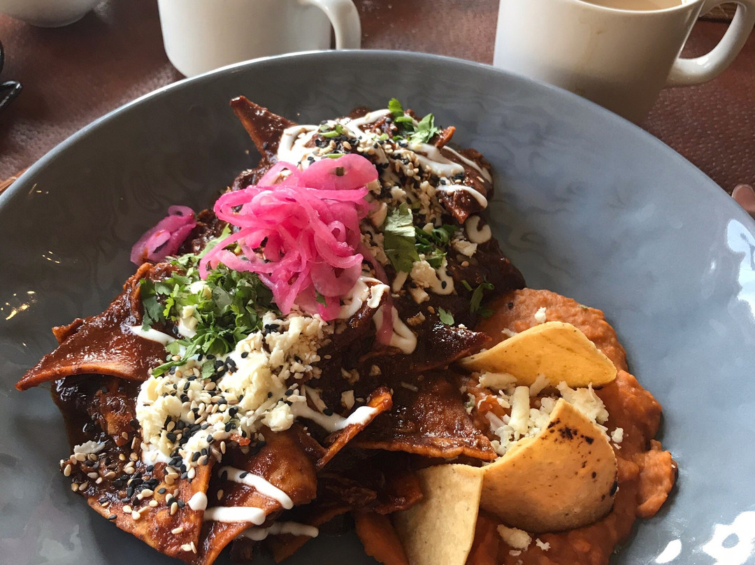 Hotel Villa Tequila主图