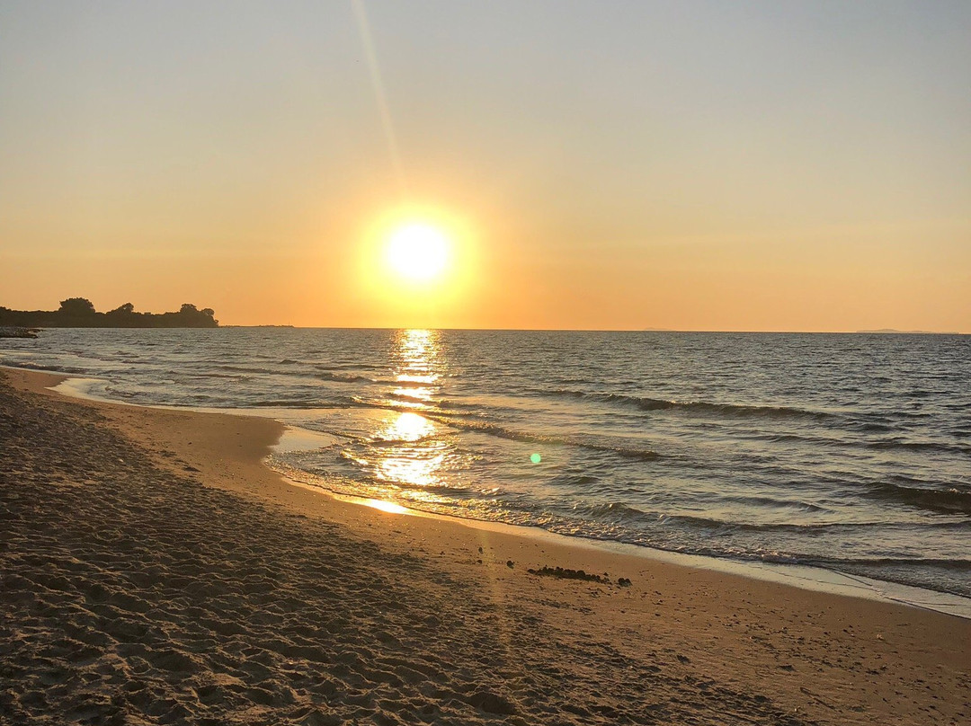 Horizon Surfing Center-Mastichari必去景点