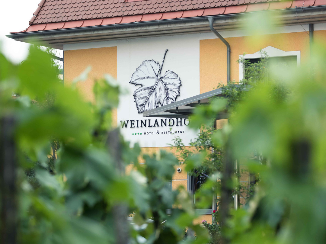 Weinlandhof主图