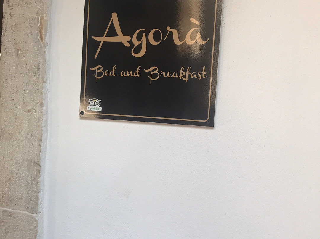 B&B Agora主图