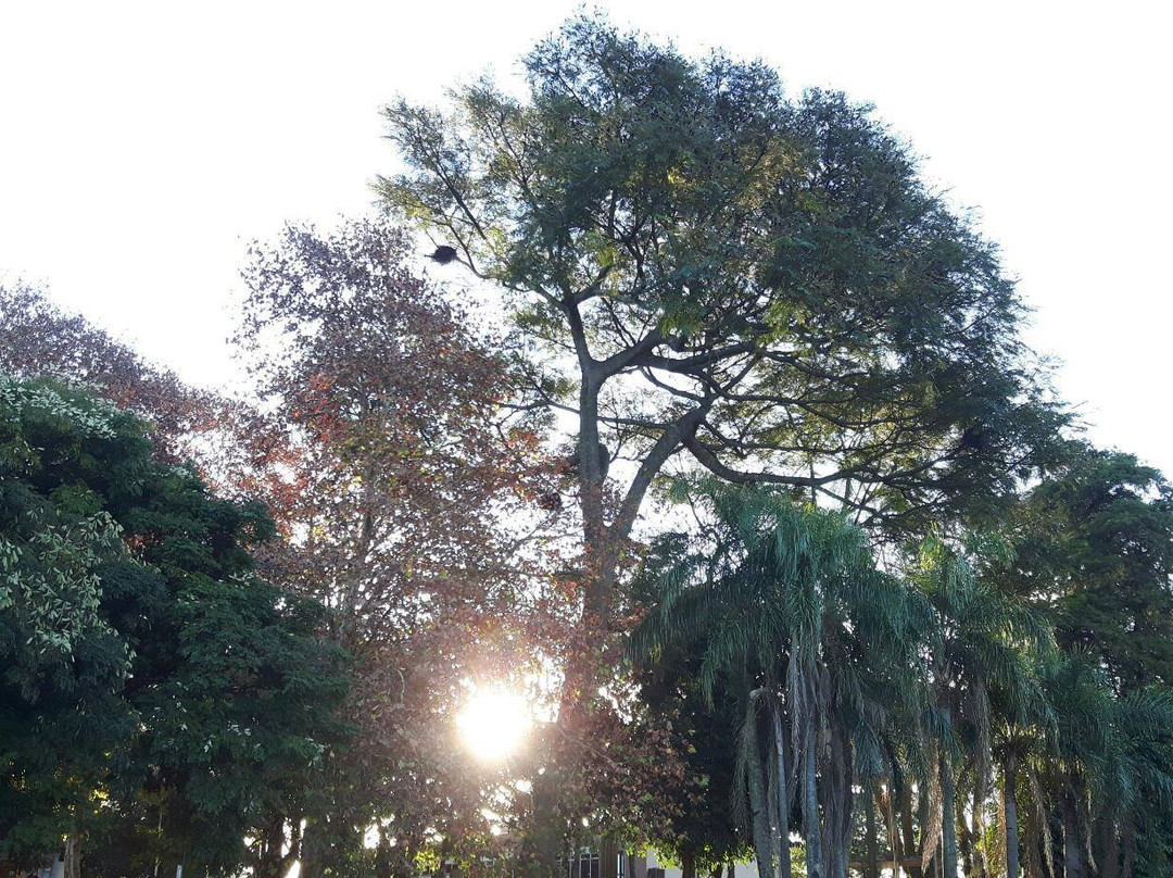 Praca dos Imigrantes景点图片