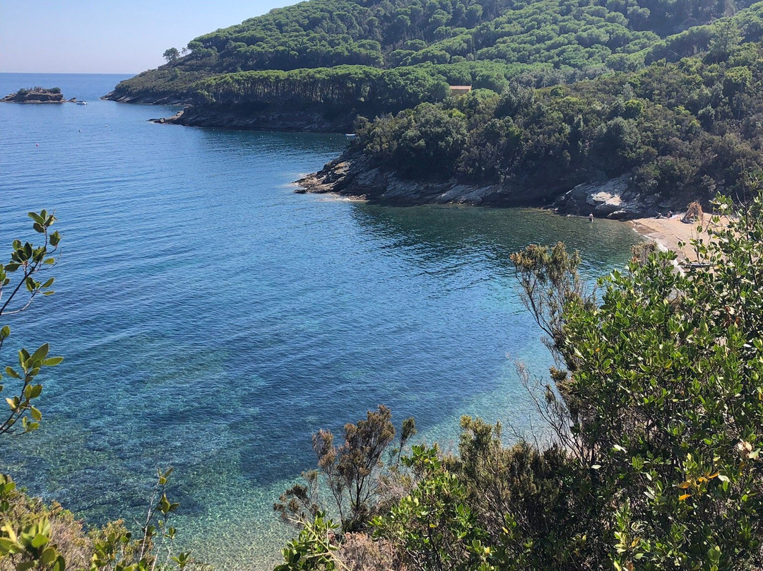 Spiaggia di Malpasso景点图片