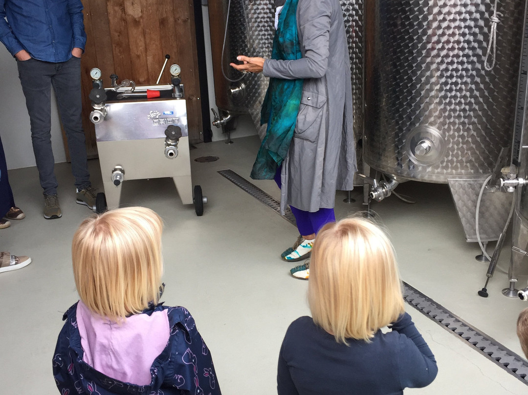 Wijndomein Aldeneyck-马赛克必去景点