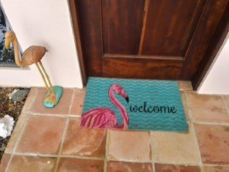 Green Cay-圣克鲁斯必去景点