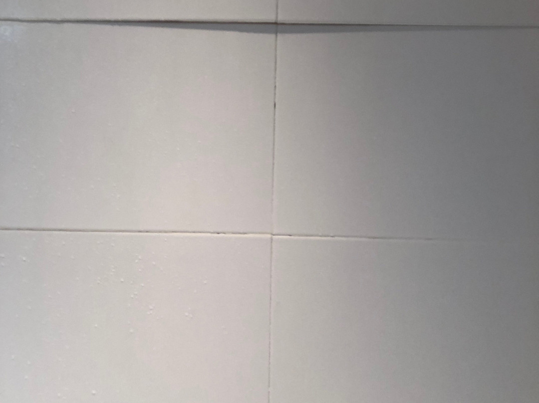 贝斯特韦斯特阿卡库酒店主图