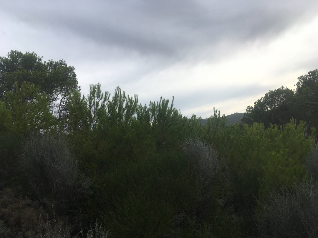 North Ride Ibiza景点图片