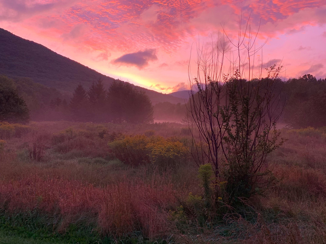 Spruceton Inn - a Catskills Bed and Bar主图