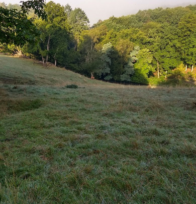 Waldhotel Forsthaus Remstecken主图