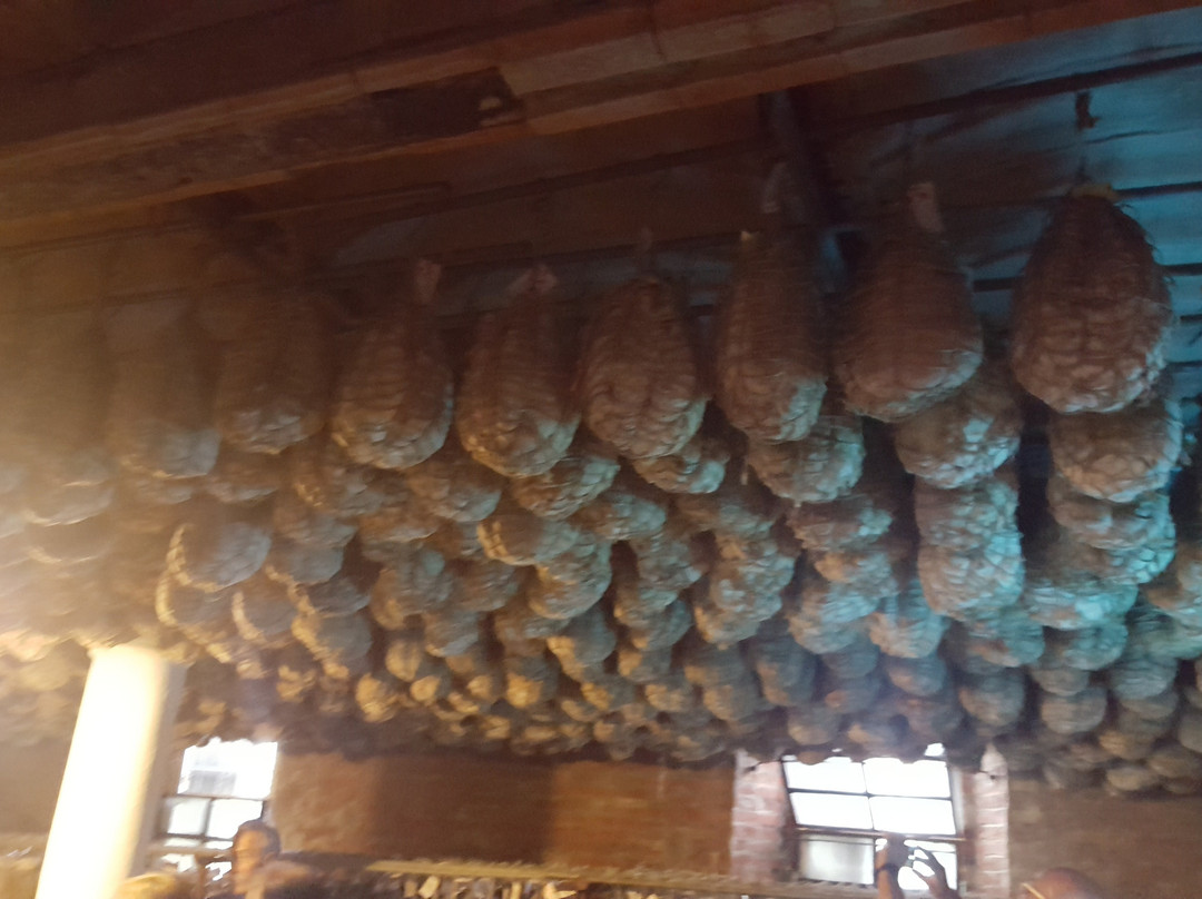 Azienda Agricola Bre del Gallo景点图片