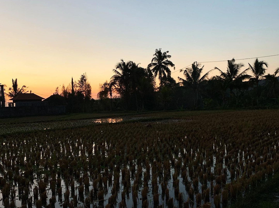 Adhitya Dharma Guest House主图