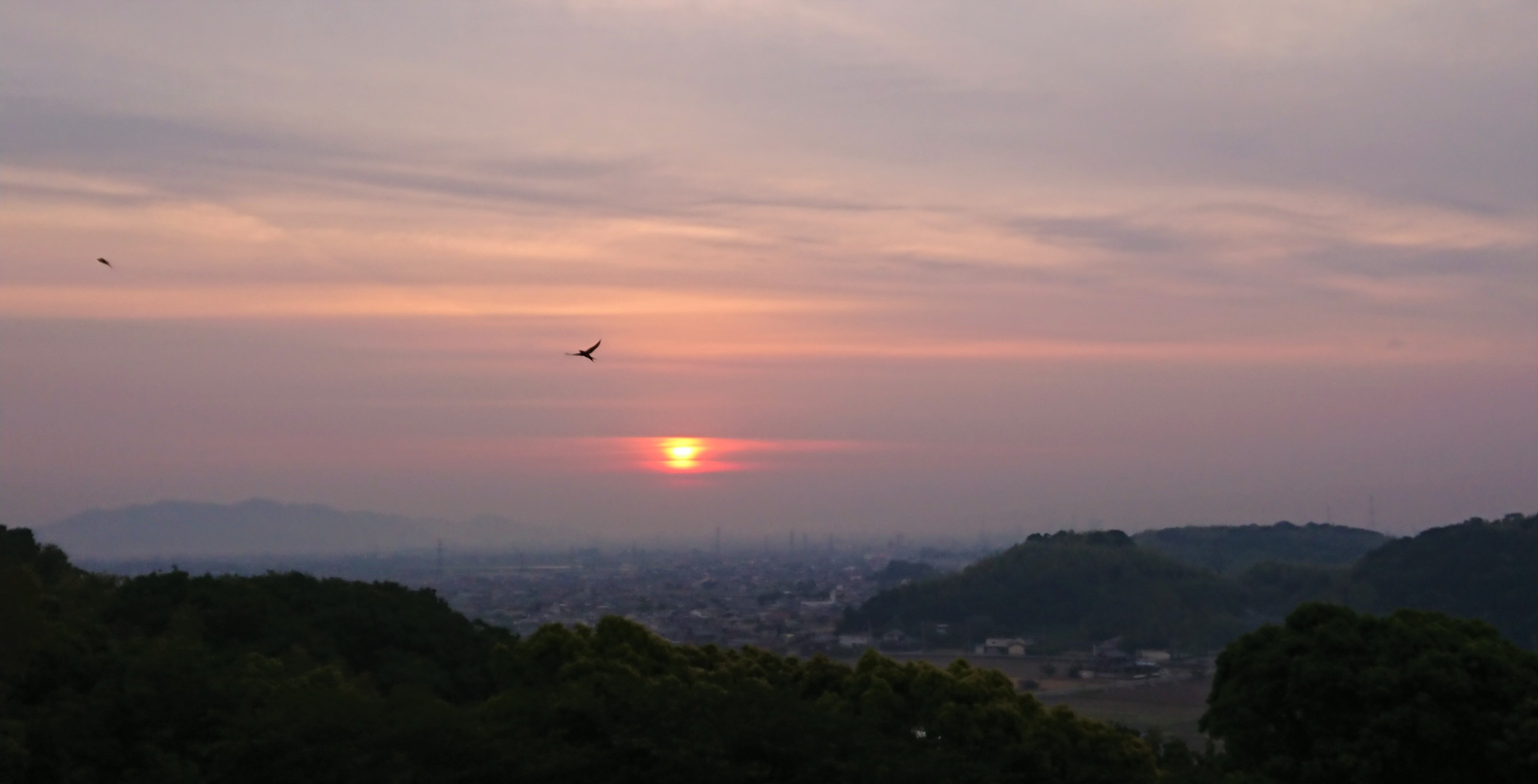 Shinmaiko Garden Hotel-酒店景观