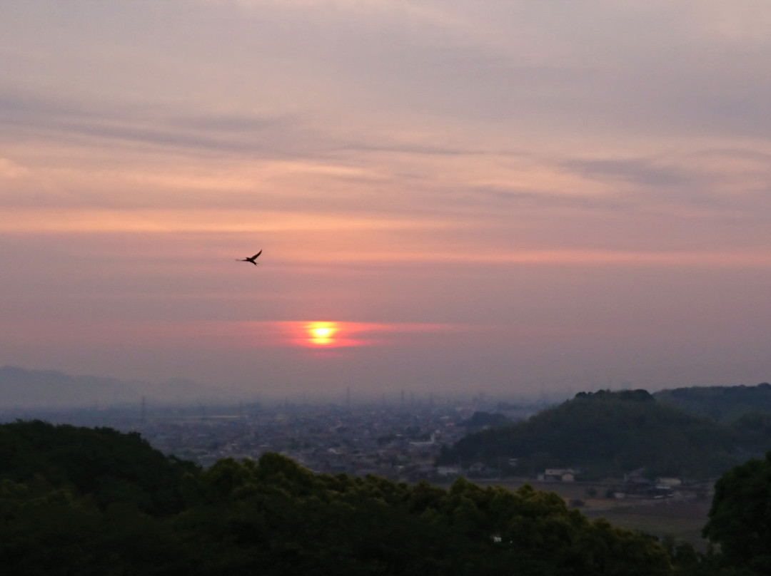 Shinmaiko Garden Hotel主图