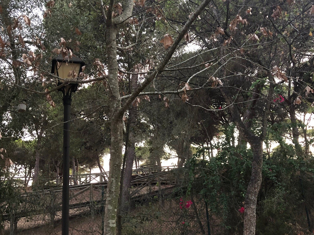 Jardín Botanico Celestino Mutis-罗塔必去景点