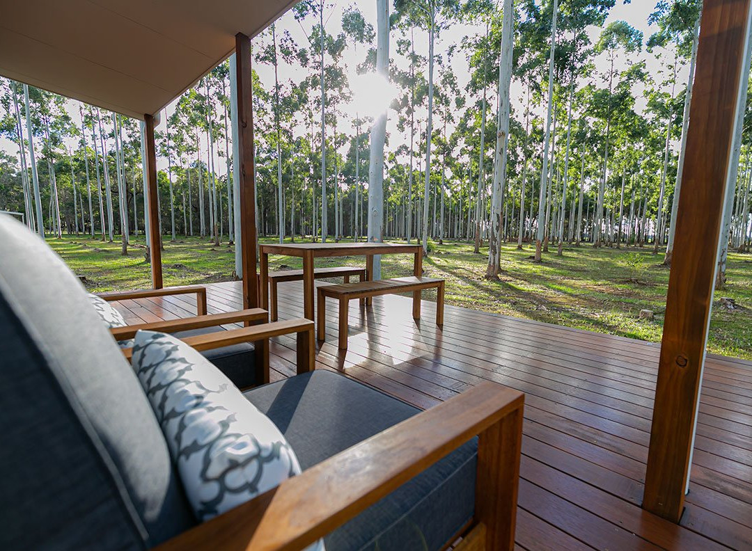 Tree Chalets