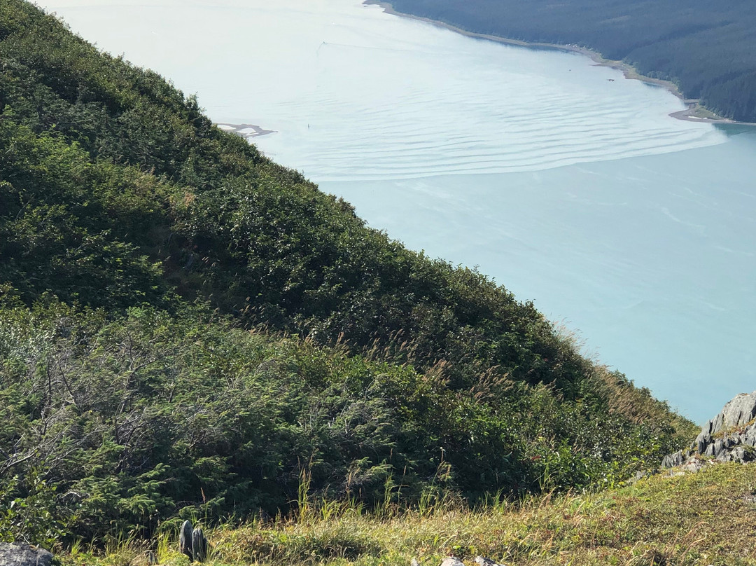 Mount Roberts Trail景点图片