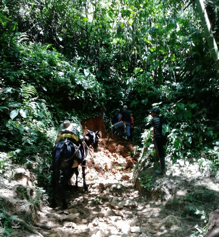 Aventura San Francisco-麦德林必去景点