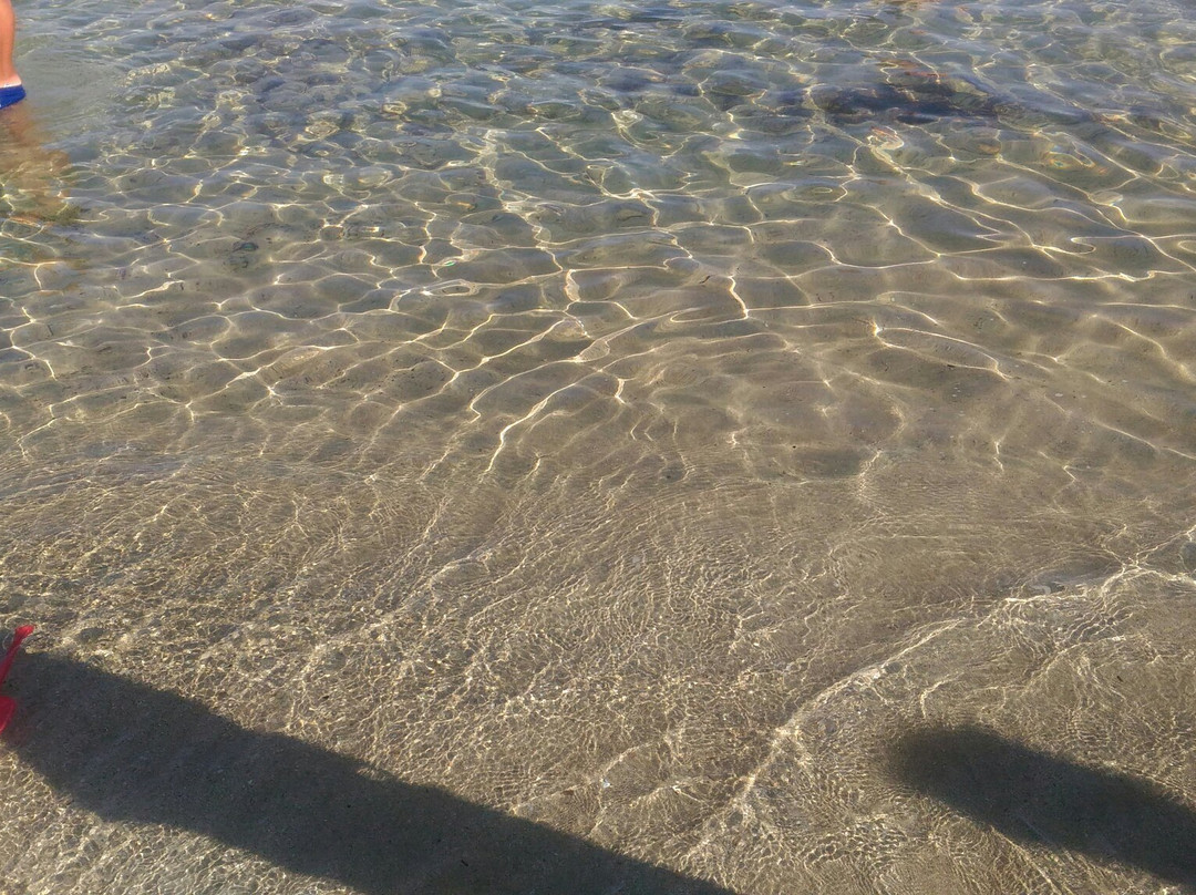 Spiaggia di Lido Silvana景点图片