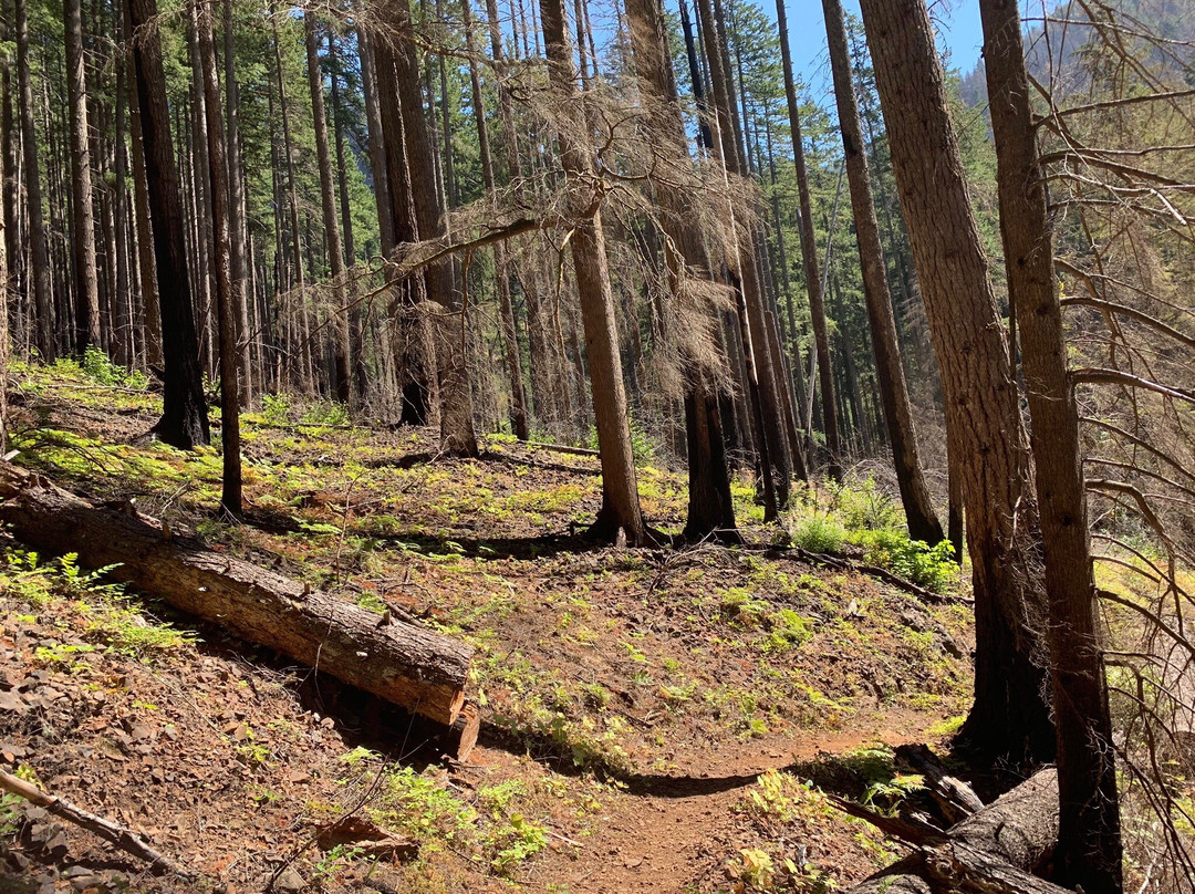 Dry Creek Falls Hike-Cascade Locks必去景点