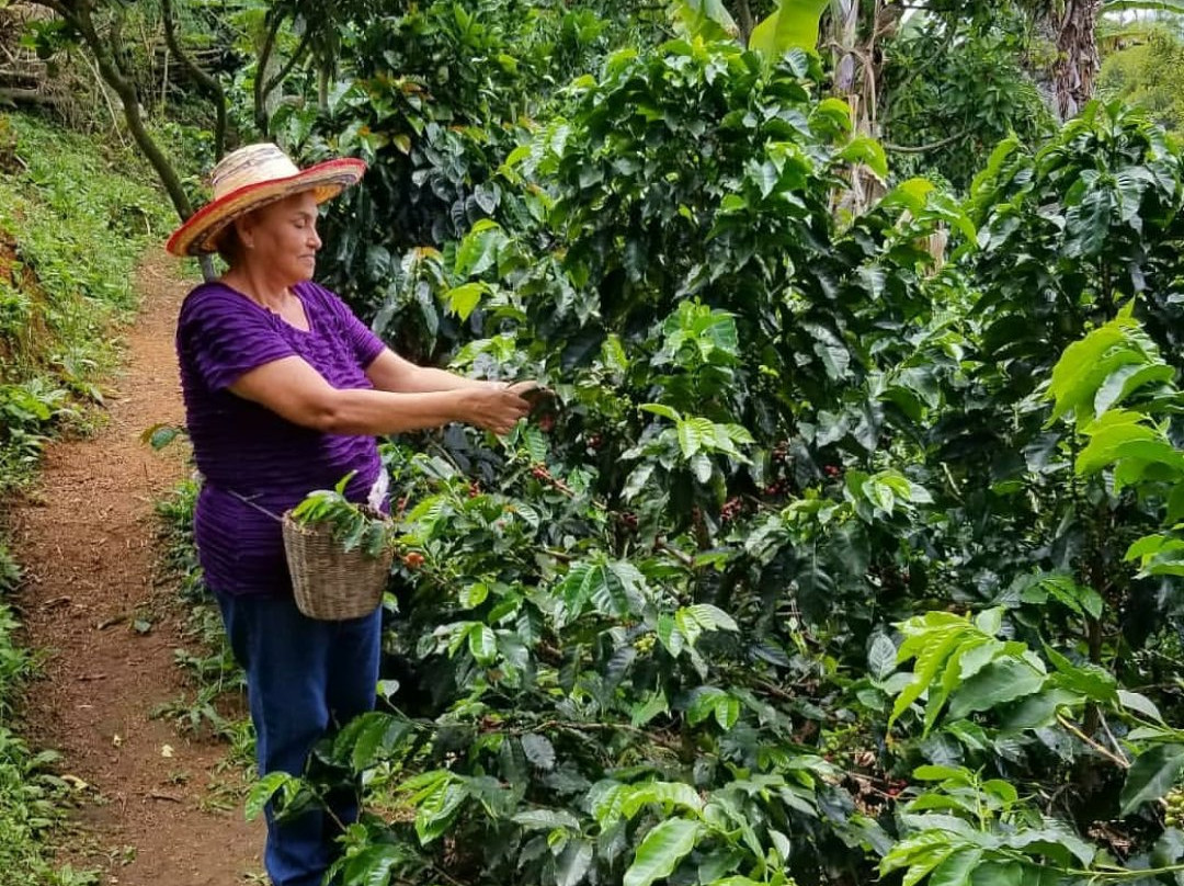 El Despertar Hotel主图