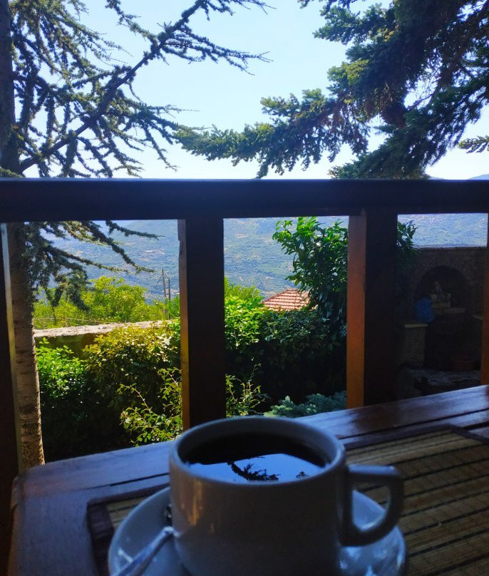 Filiantra Guesthouse主图