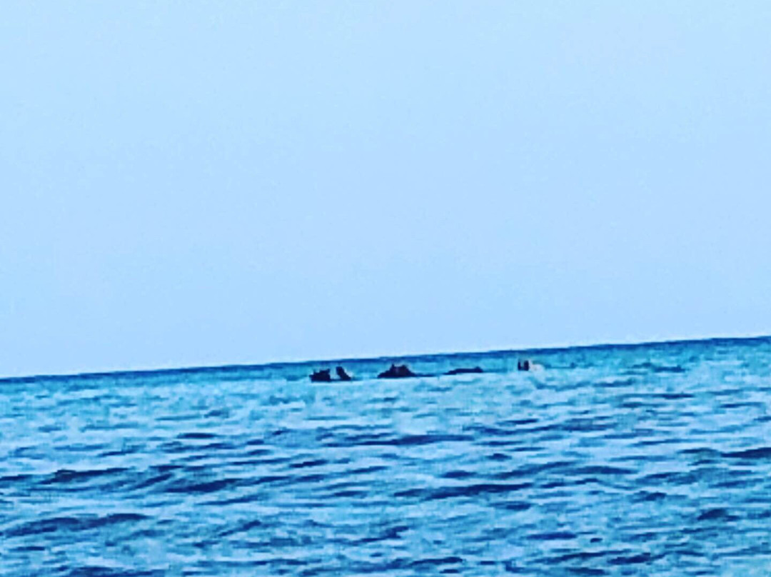 Half Moon Equestrian Center-蒙特戈贝必去景点