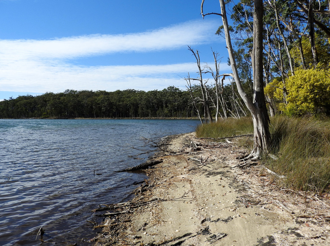 Giriwa Walking Track-Burrill Lake必去景点