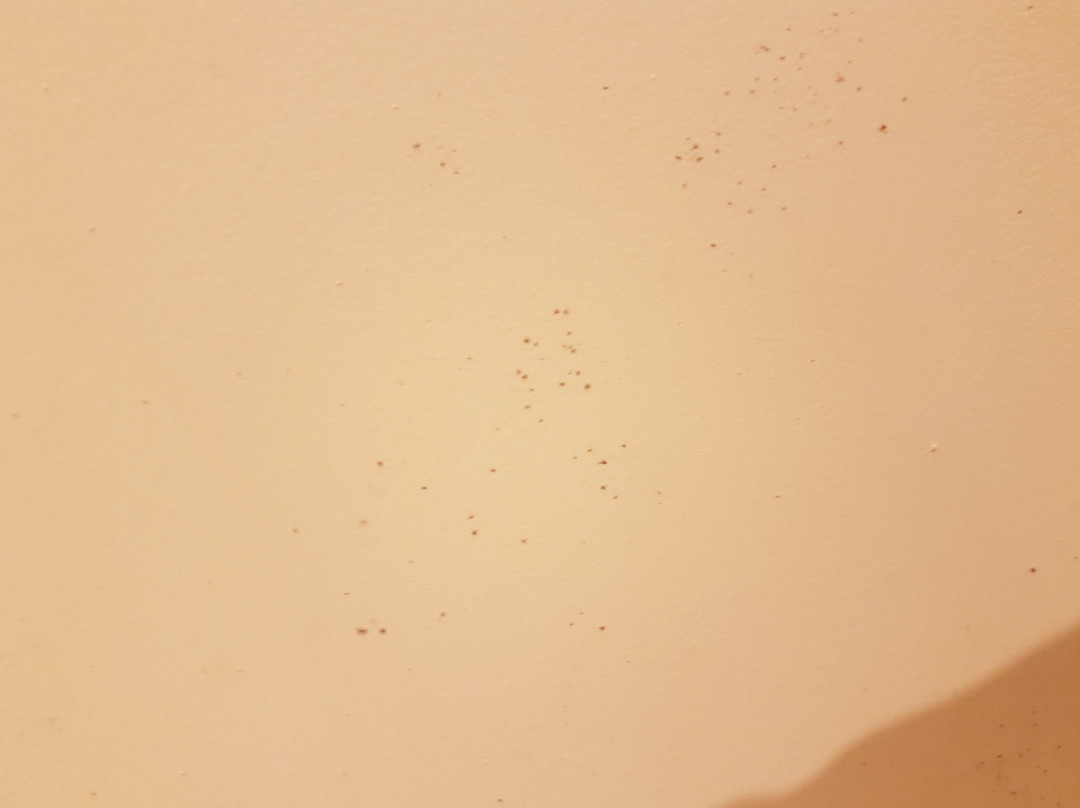 Atlantis Hotel Mimizan主图