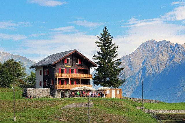 Bed & Breakfast Berginsel