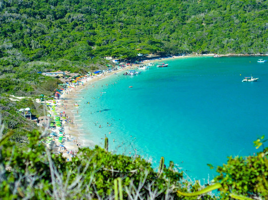 Embarcação Vida Marinha-阿拉伊阿尔港必去景点