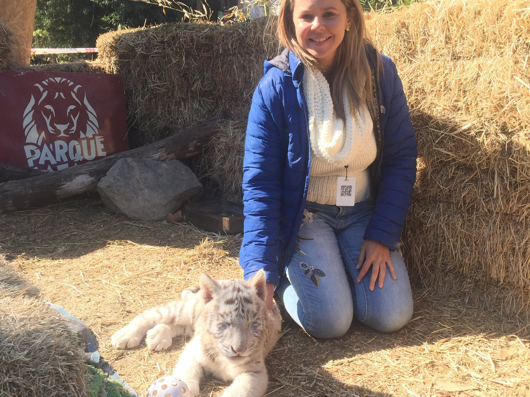 Parque Safari-兰卡瓜必去景点