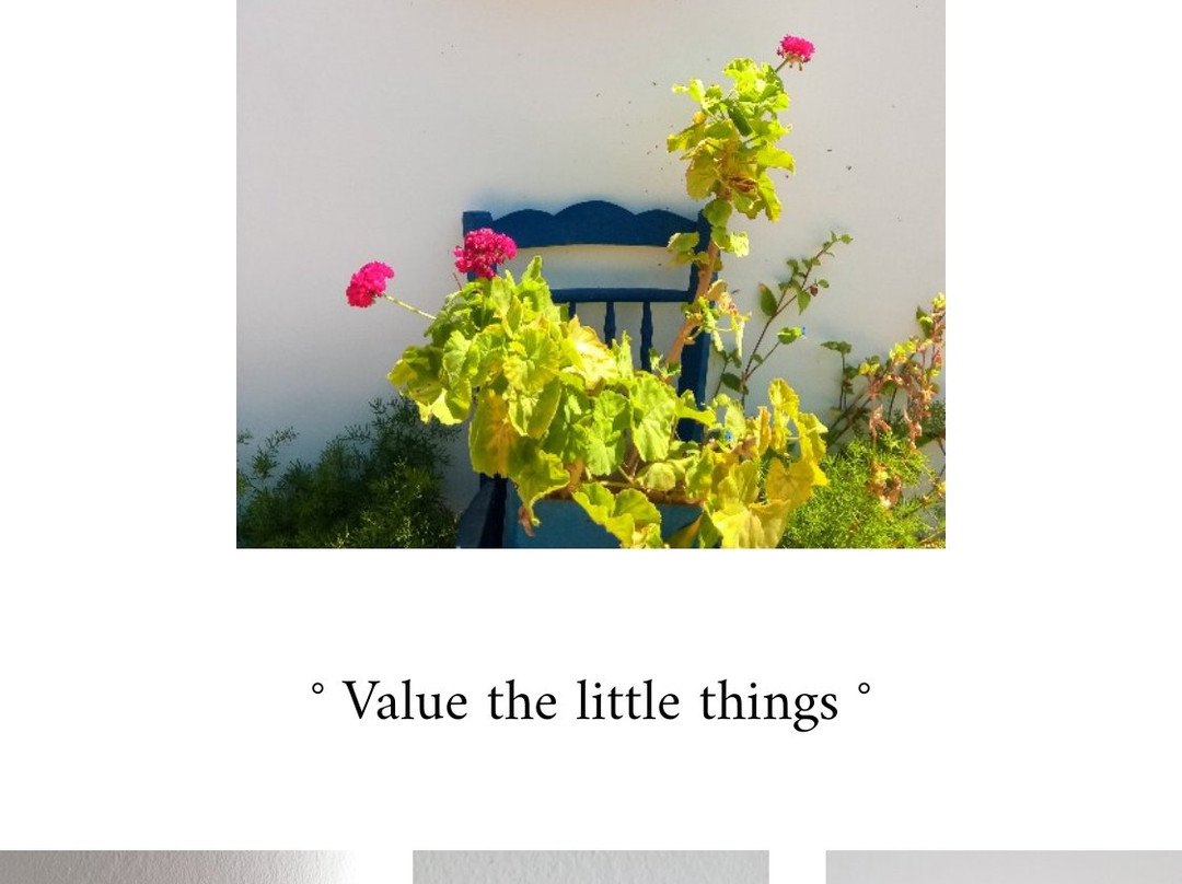 Anemona Villas主图