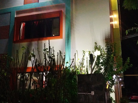 Sri Silver Inn Annex主图