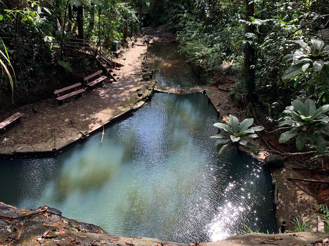 Colo-I-Suva Forest Park景点图片
