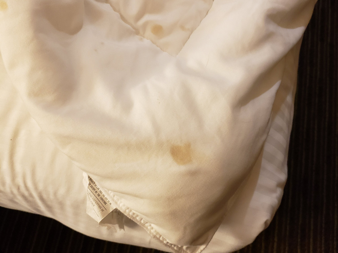 戴维斯拉金塔旅馆&套房酒店主图