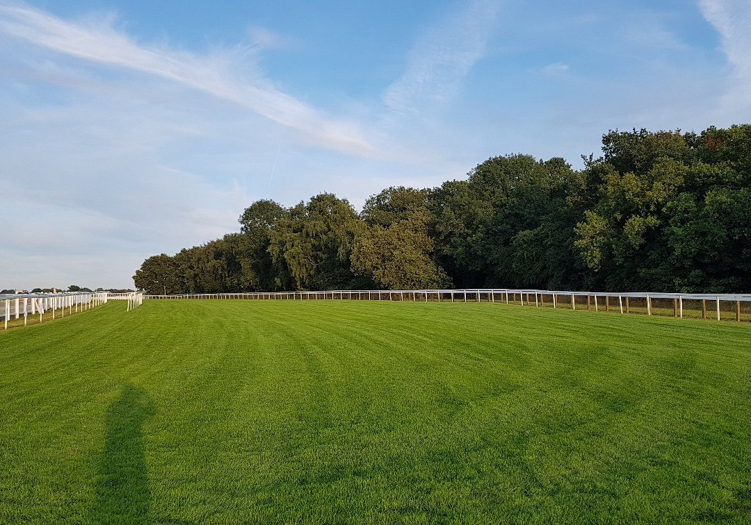 Epsom Downs Racecourse景点图片