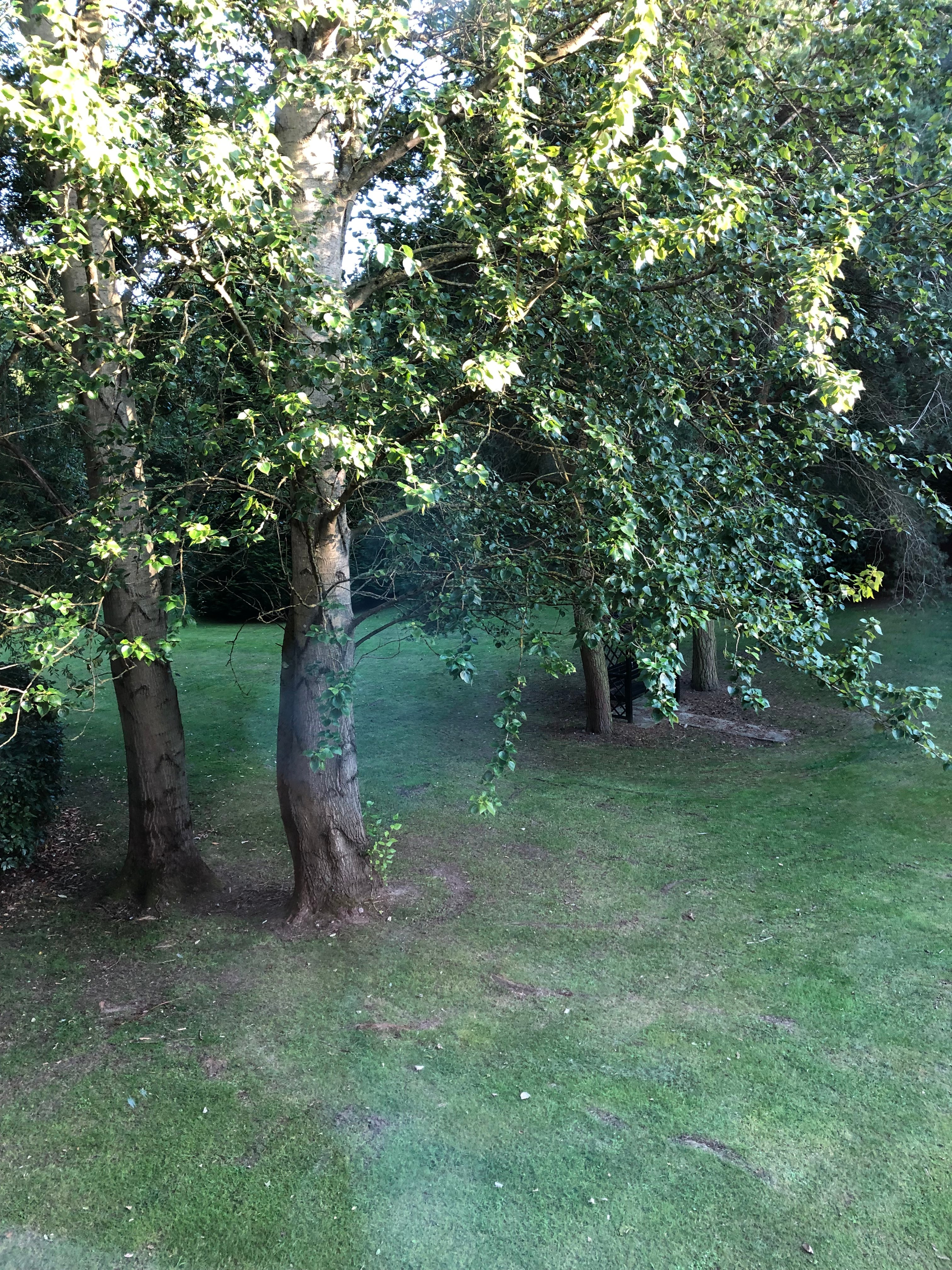 Holiday Inn Telford - Ironbridge, an IHG Hotel-浴室