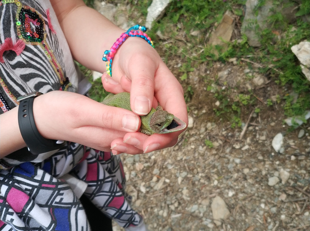 Crete Your Life-Agios Vasilios必去景点