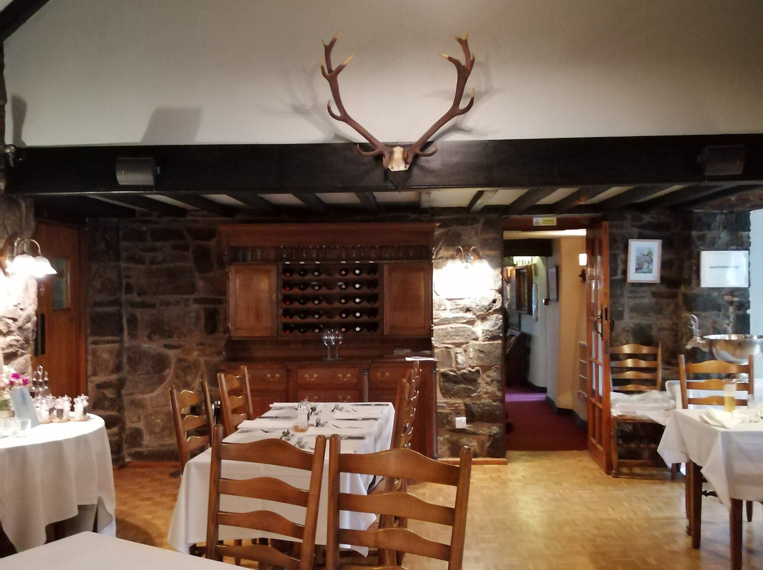 The Hand at Llanarmon主图