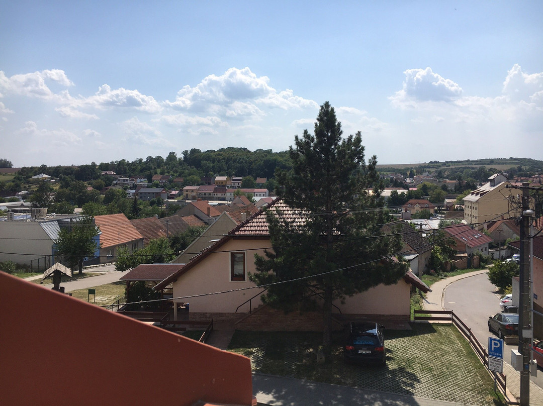 Penzion a Vinny sklep U Vrbu主图