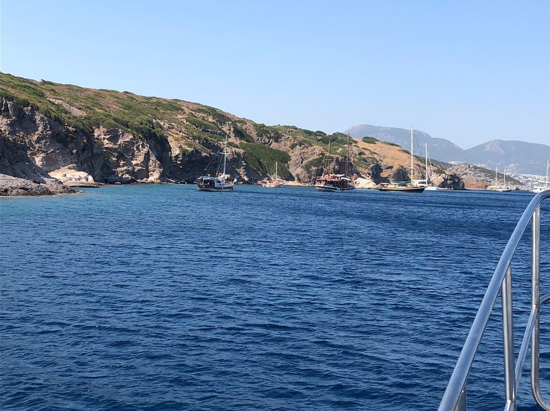 Akbaba Deniz Boat景点图片