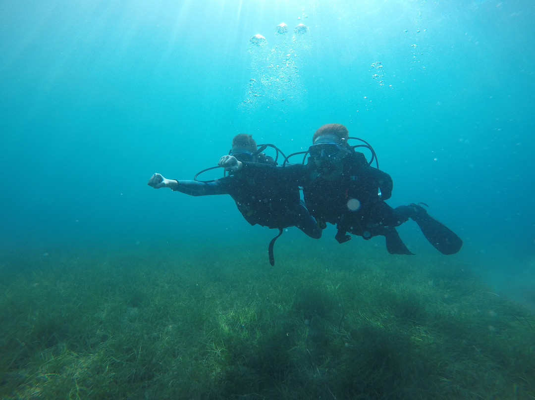 Zoumbosub Diving Center景点图片