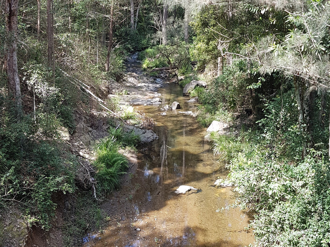 Red Cedar Park景点图片