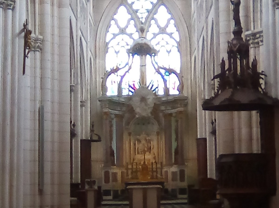 La Cathédrale Notre-Dame de l'Assomption景点图片