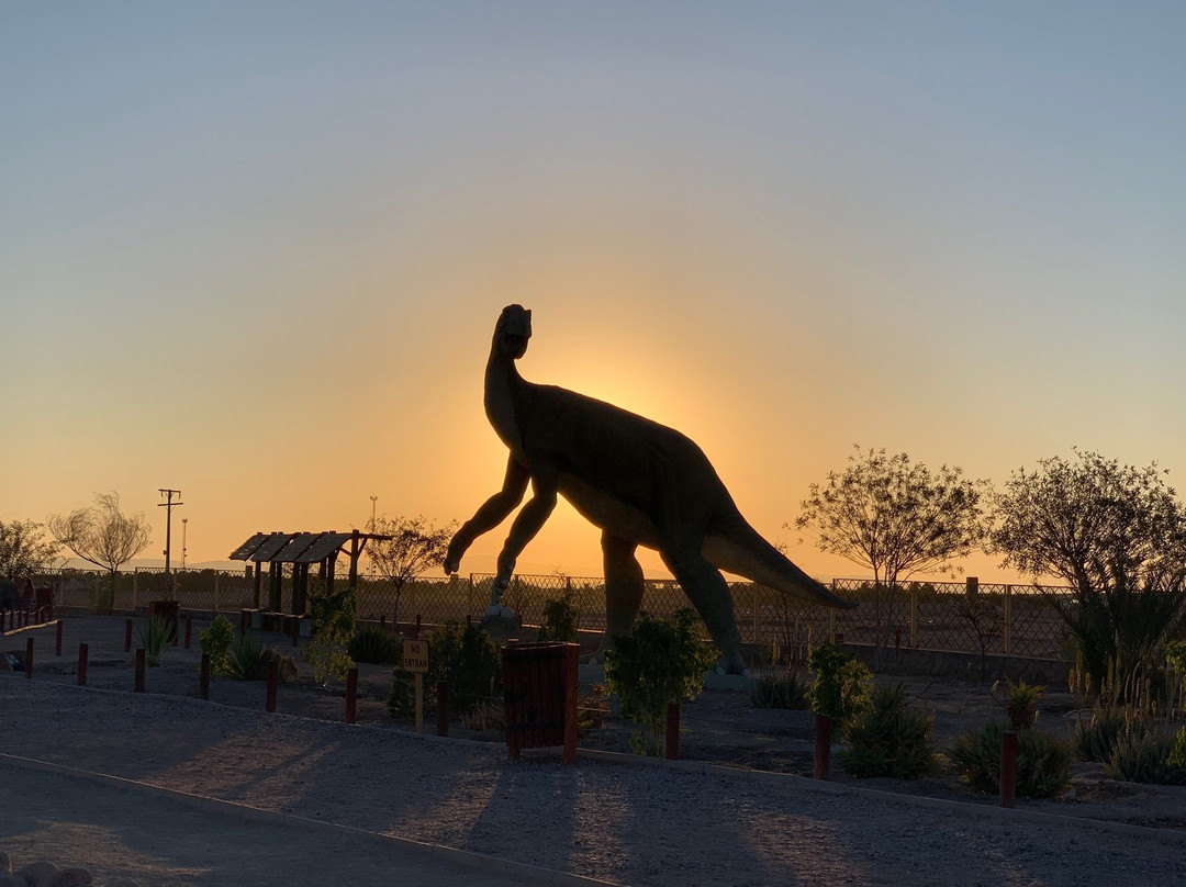 Valle de Los Dinosaurios-Pica必去景点