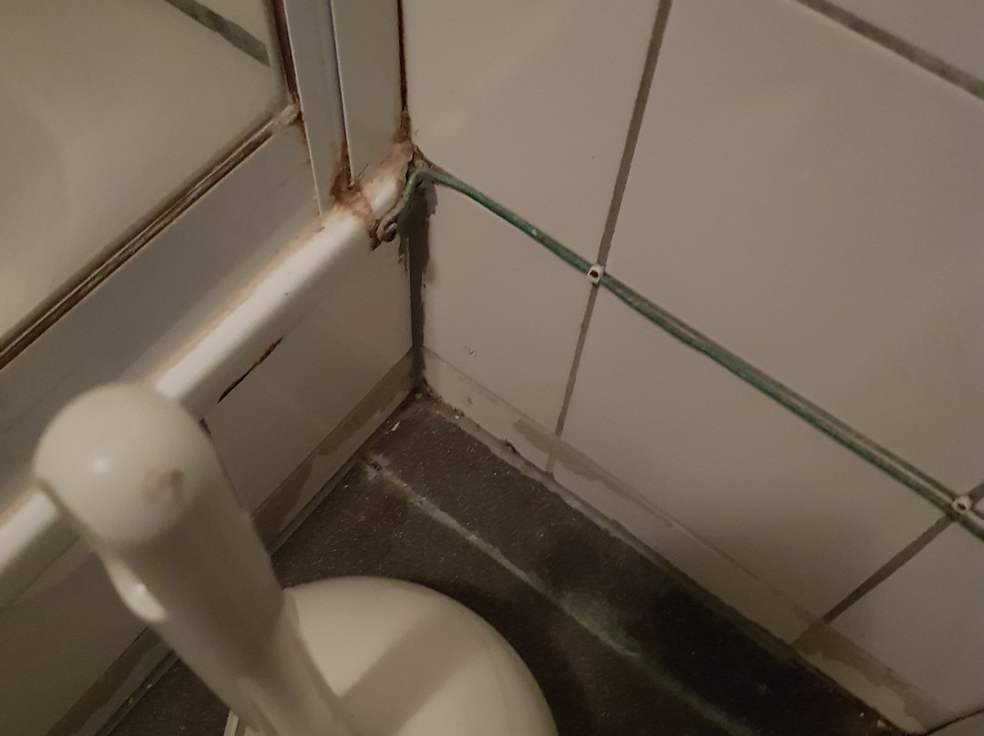 弗利辛恩住宿加早餐旅馆主图