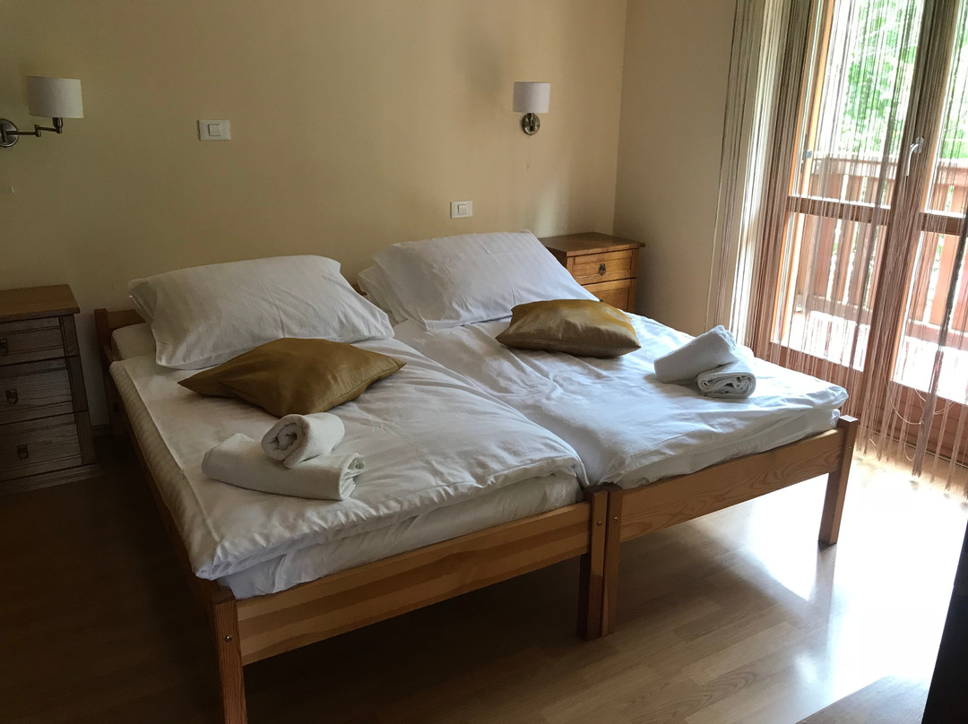 Hotel Alpine