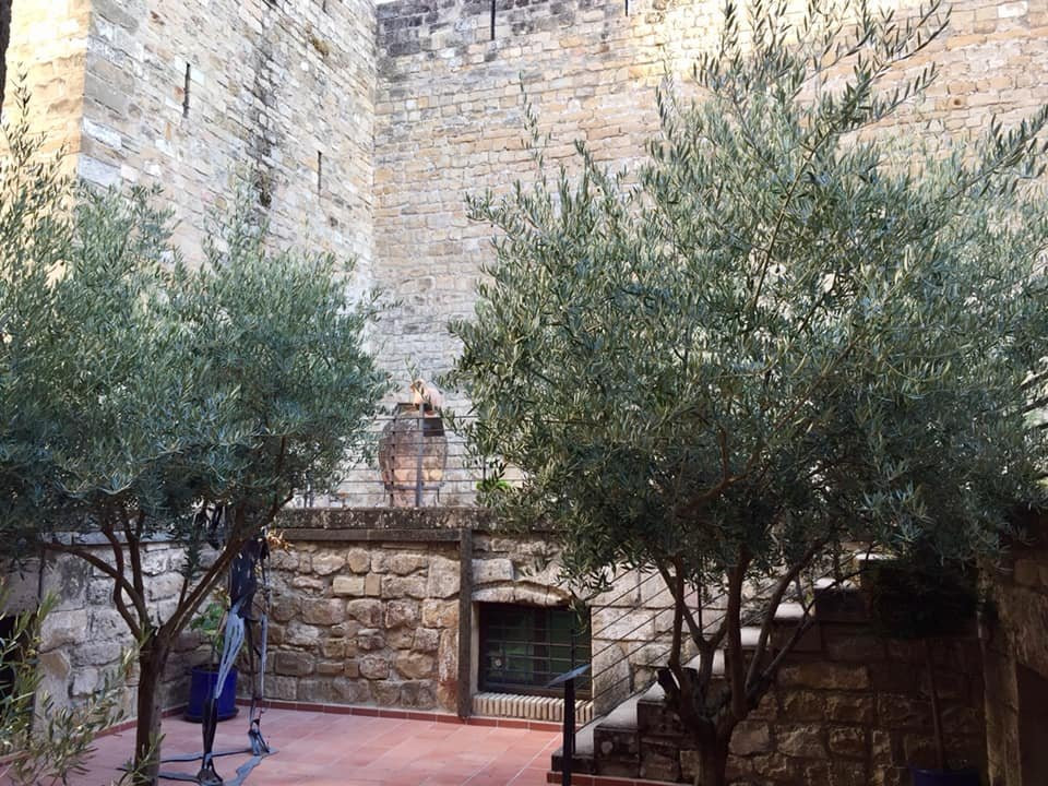 Centro de Interpretación Olivar y Aceite-乌维达必去景点